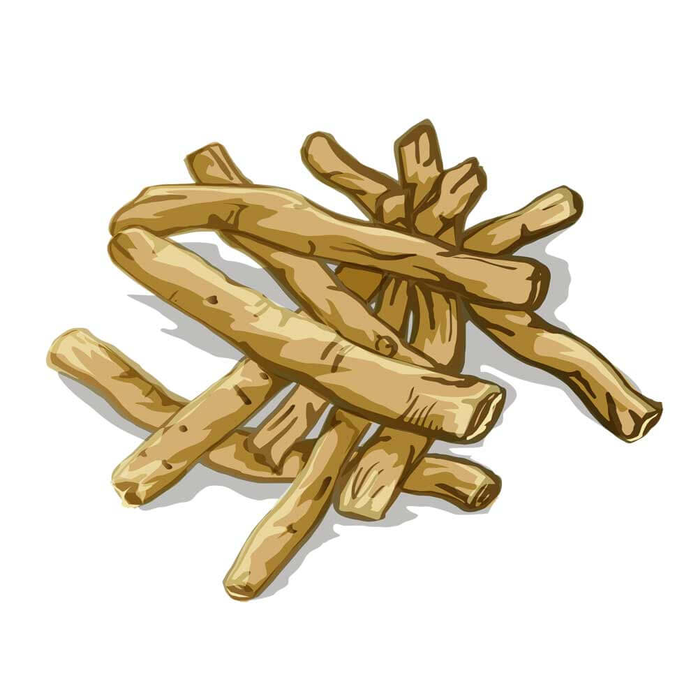 Brain-Forza-KSM-66-Ashwagandha-Root-2