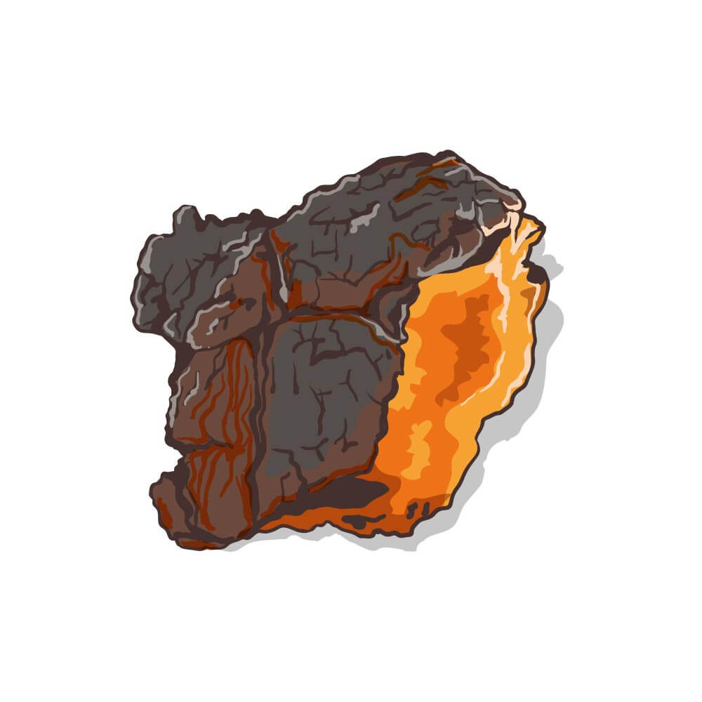Chaga-Mushroom-Square-Mighty-7