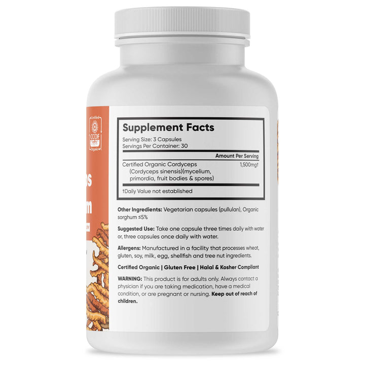 Brain Forza Organic Cordyceps Mushroom Capsules 500mg Stronger Than Extracts, 90 Capsules