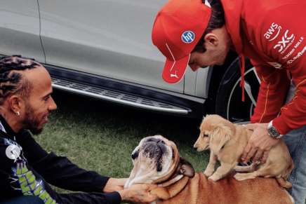Lewis Hamilton e Charles Leclerc con i loro cani Roscoe e Leo