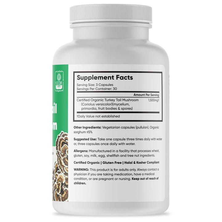 Brain Forza Organic Turkey Tail Mushroom Capsules Stronger Than Extracts USA Made, 90 Capsules