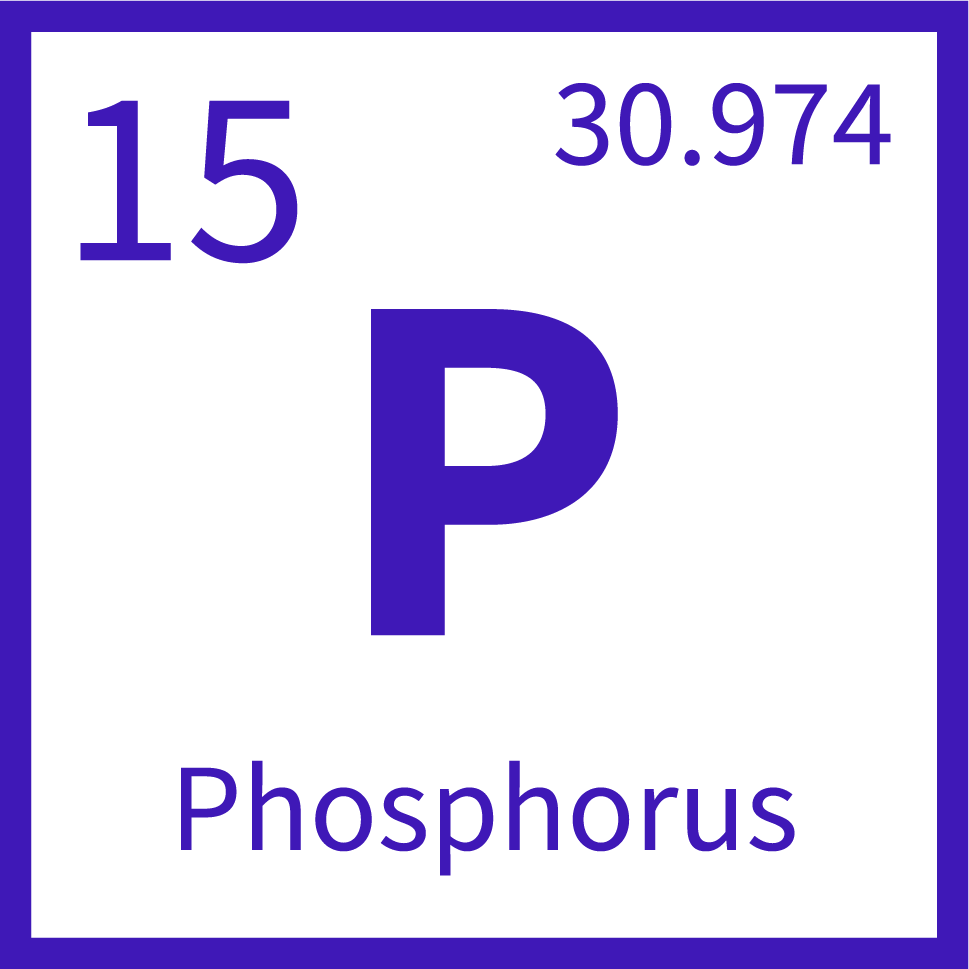 w1200_b6e1_Phosphorus
