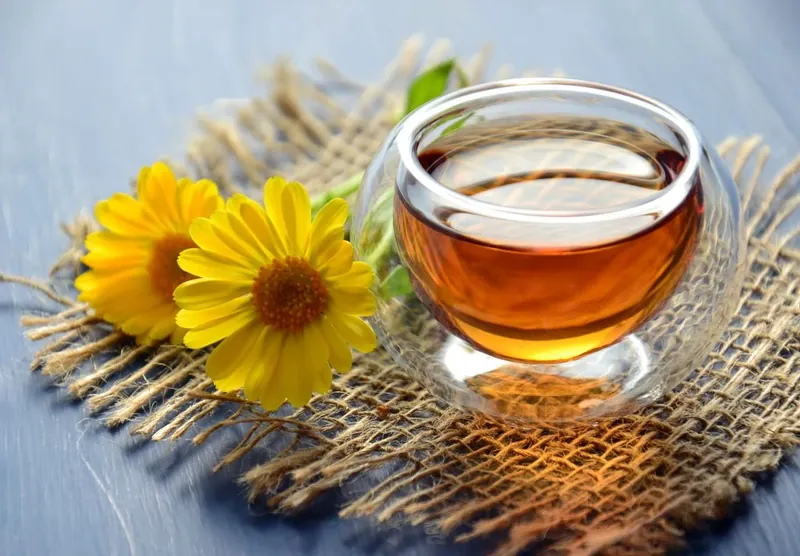 Adult brain health and cellular antioxidant research